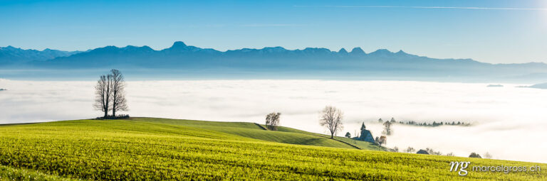 Panorama view from Ballenbühl above autumn sea of fog in Emmental. Taken by Marcel Gross Photography