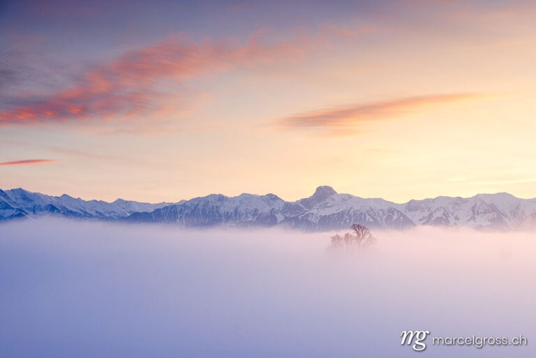 Winter picture Switzerland. misty sunset with Stockhorn ridge in the distance. Marcel Gross Photography