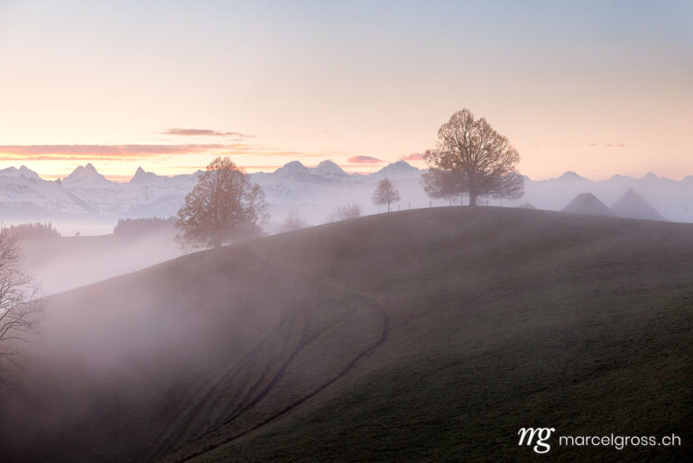 Emmental pictures. . Marcel Gross Photography