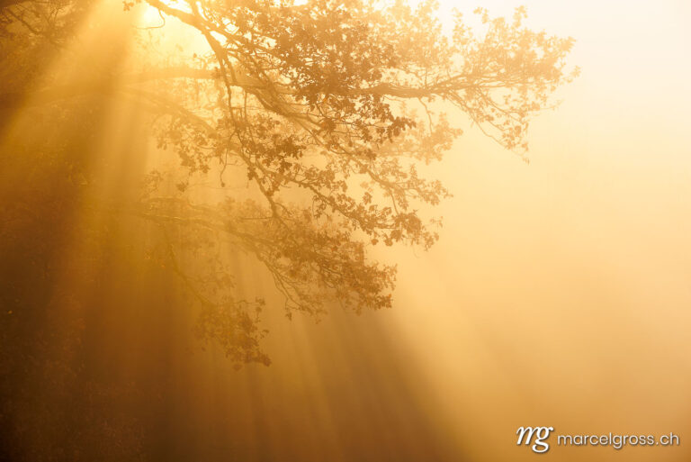 Emmental pictures. . Marcel Gross Photography