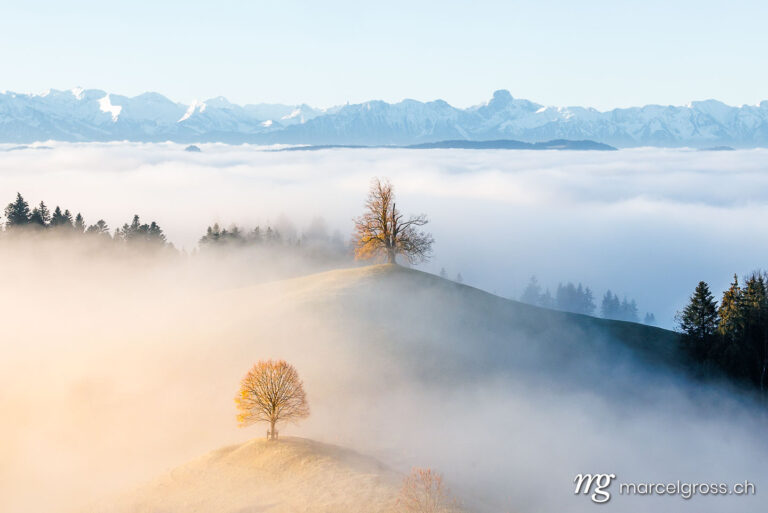 Autumn picture Switzerland. Wafts of fog in autumn in the Emmental. Marcel Gross Photography