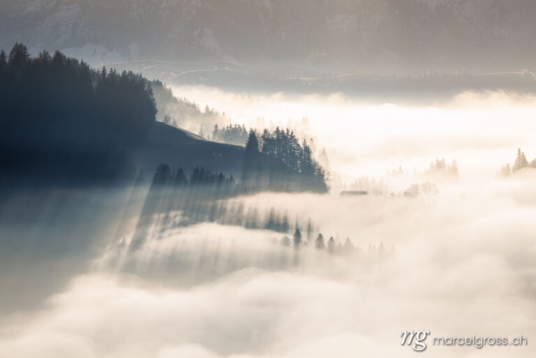 Autumn picture Switzerland. Wafts of fog in autumn in the Emmental. Marcel Gross Photography