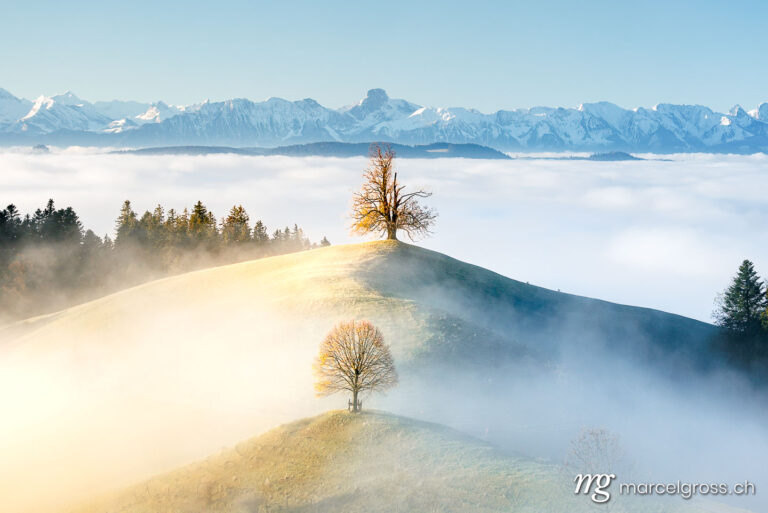 Autumn picture Switzerland. Emmental hills with trees and the Bernese Alps. Marcel Gross Photography