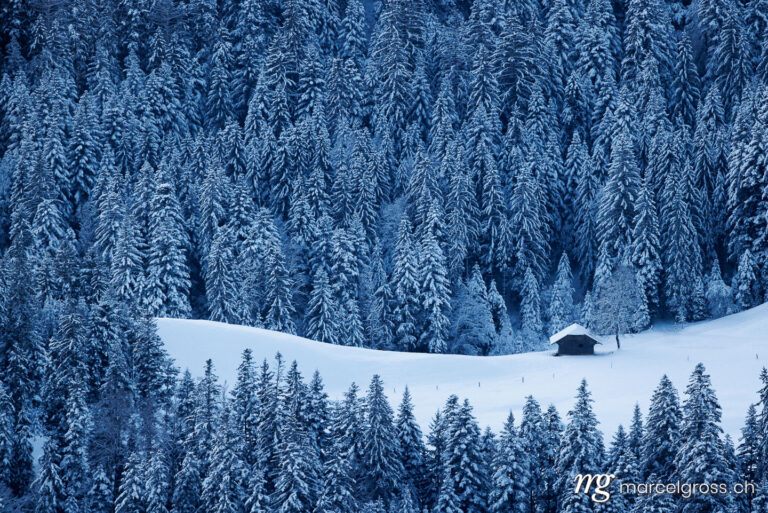 Winter picture Switzerland. . Marcel Gross Photography